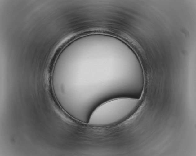 X0000113261029200909101246
