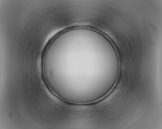 X0000113261030200909101246