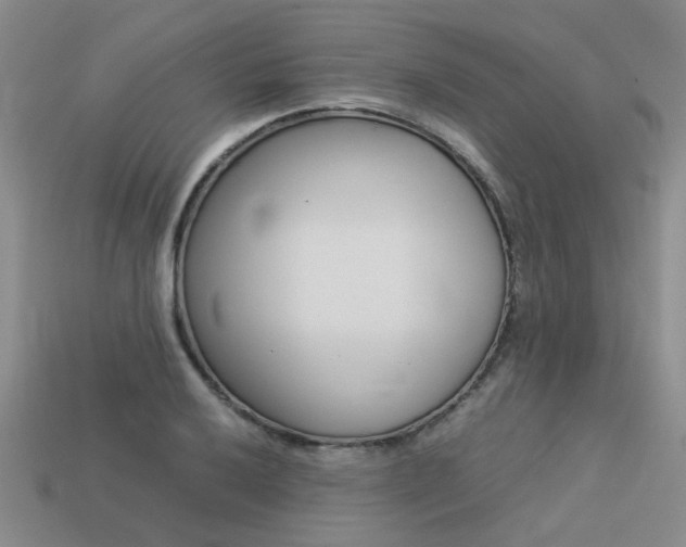 X0000113261032200909101246