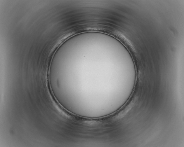 X0000113261033200909101246