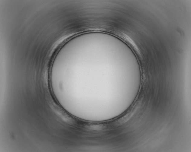 X0000113261035200909101246
