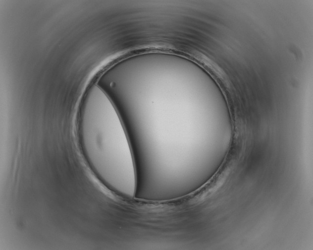 X0000113261037200909101246