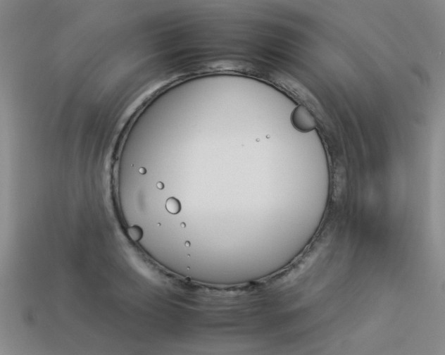 X0000113261039200909101246