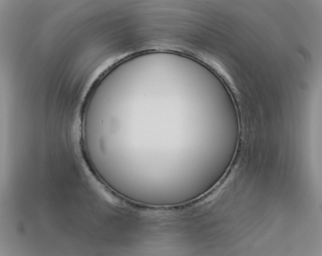 X0000113261040200909101246