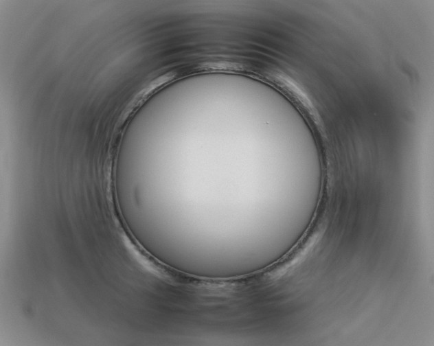 X0000113261041200909101246