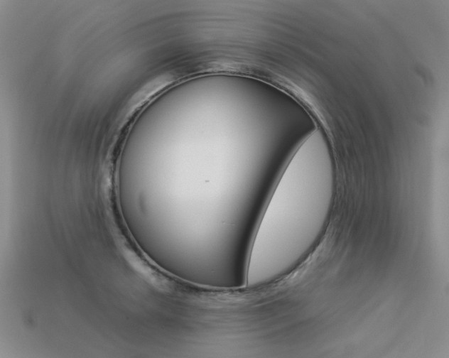 X0000113261042200909101246