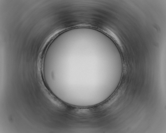 X0000113261043200909101246