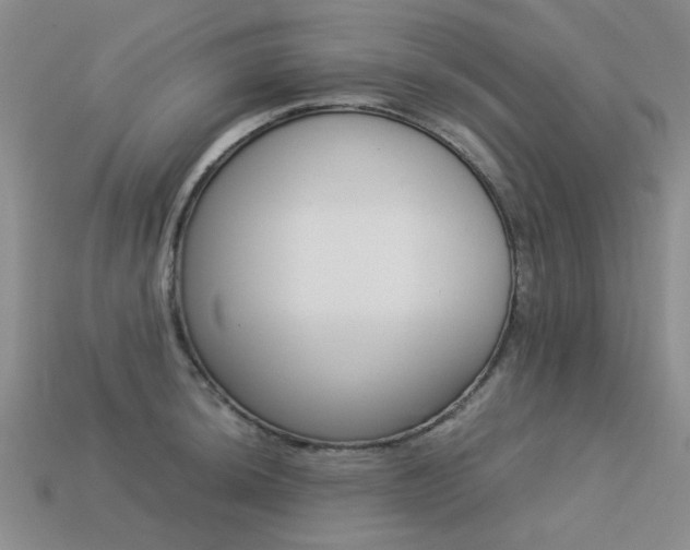 X0000113261044200909101246