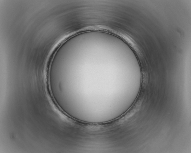 X0000113261046200909101246