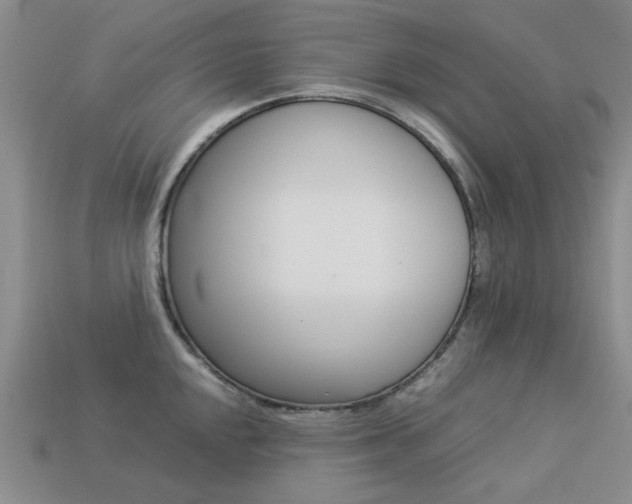 X0000113261048200909101246