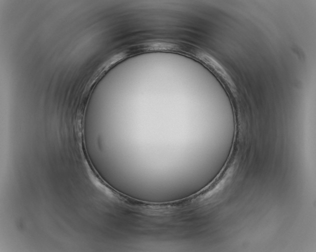 X0000113261049200909101246
