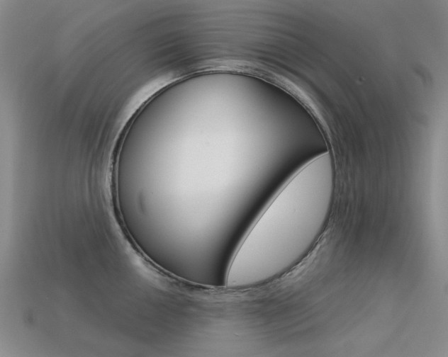 X0000113261050200909101246