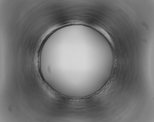 X0000113261051200909101246