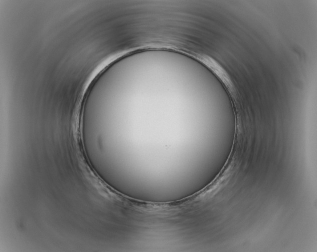 X0000113261052200909101246