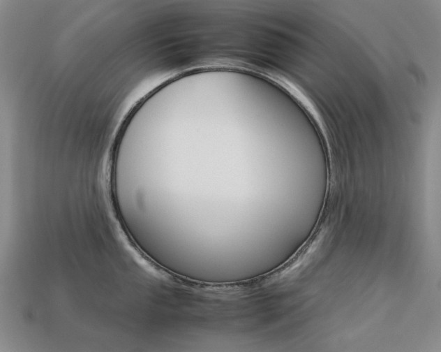 X0000113261053200909101246