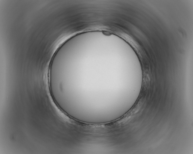 X0000113261055200909101246