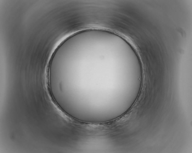 X0000113261056200909101246