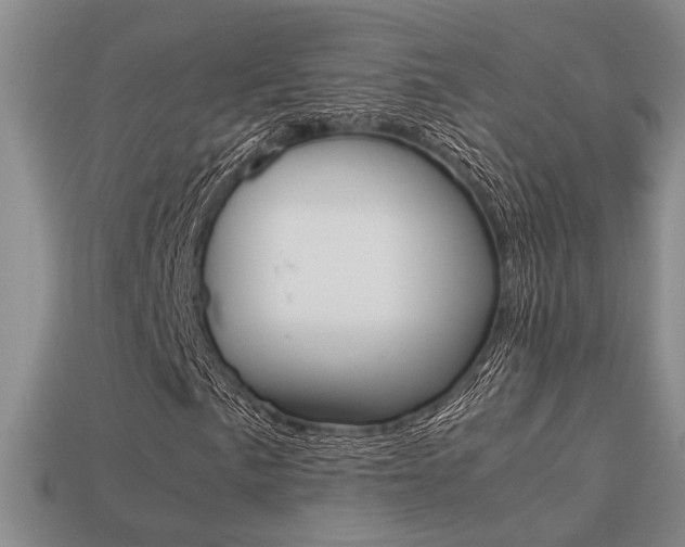 X0000113261057200909101245