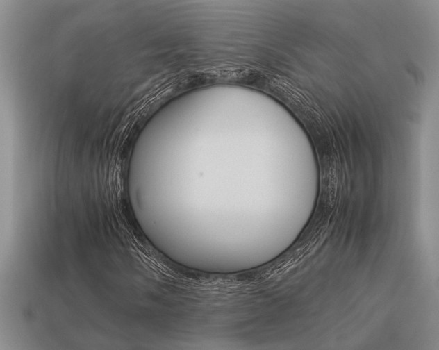 X0000113261058200909101245