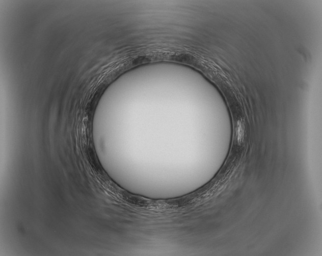 X0000113261059200909101245