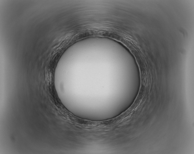 X0000113261061200909101245
