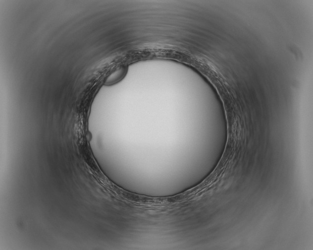 X0000113261062200909101245