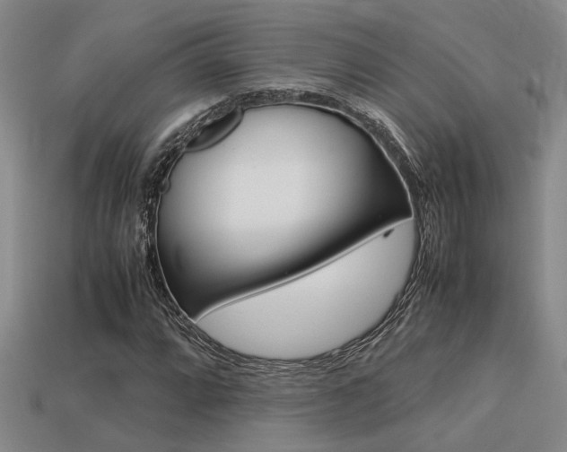 X0000113261064200909101245