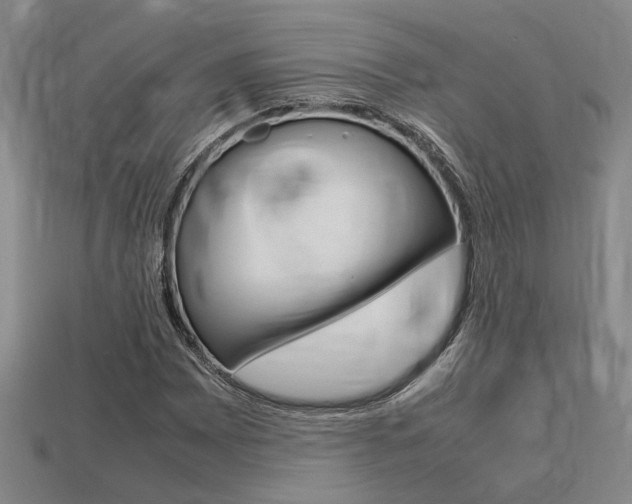 X0000113261065200909101245