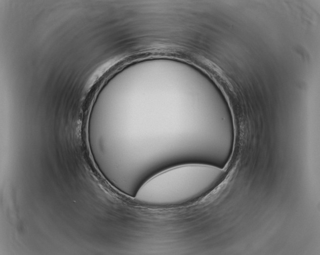 X0000113261066200909101245