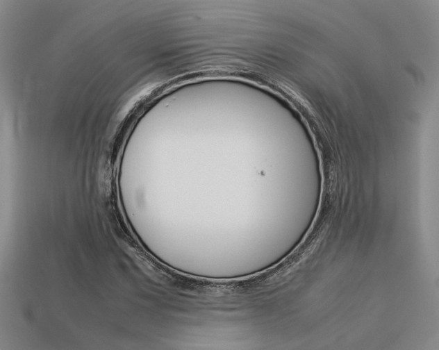 X0000113261067200909101245