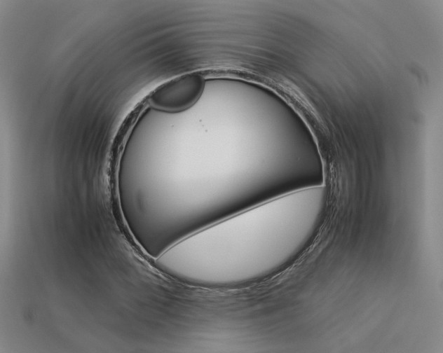 X0000113261068200909101245
