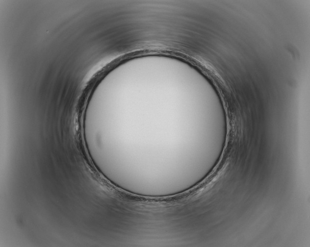 X0000113261070200909101245