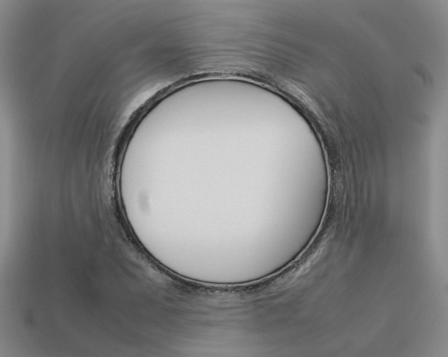 X0000113261071200909101245