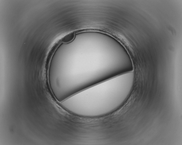 X0000113261072200909101245