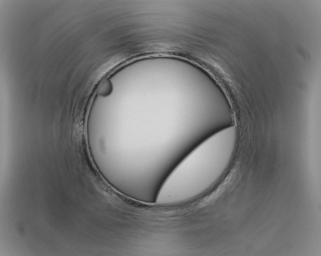 X0000113261073200909101245