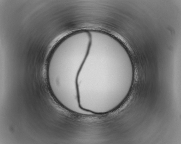 X0000113261074200909101245