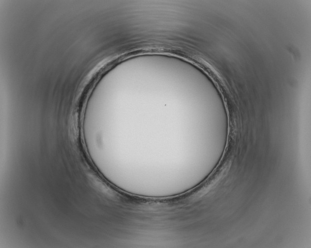 X0000113261075200909101245