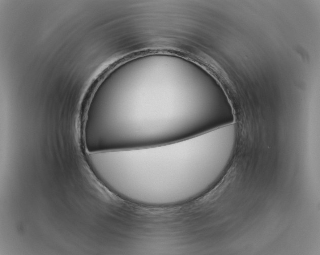 X0000113261076200909101245