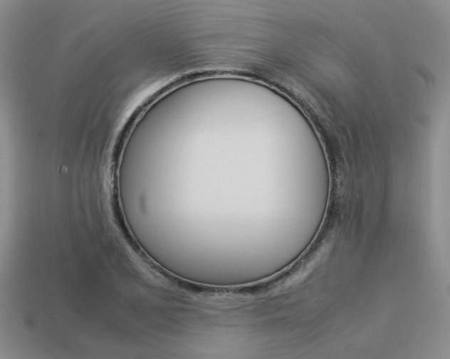 X0000113261077200909101245