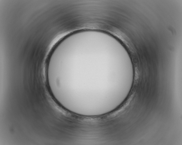 X0000113261078200909101245
