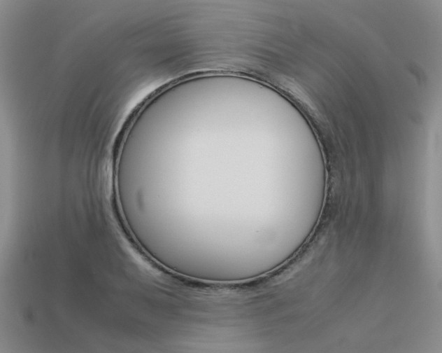 X0000113261079200909101245