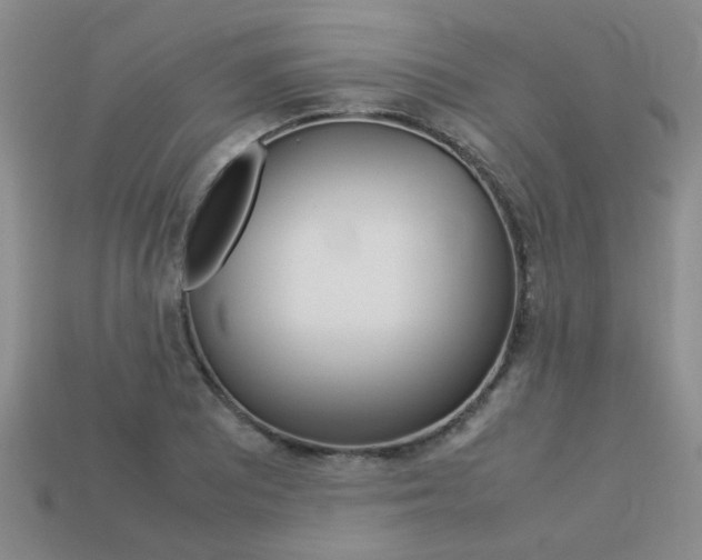 X0000113261081200909101245