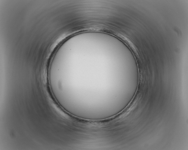 X0000113261083200909101245