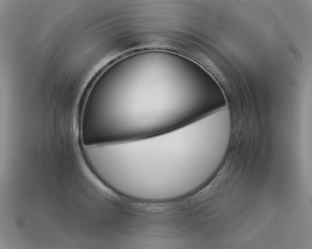 X0000113261084200909101245