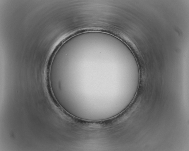 X0000113261085200909101245