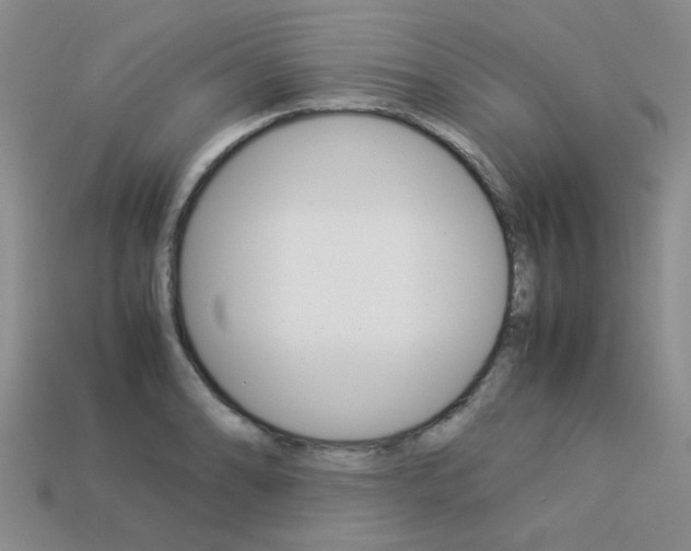 X0000113261086200909101245