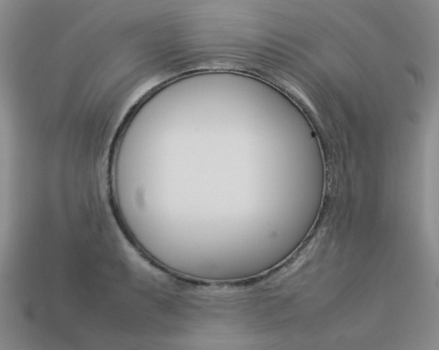 X0000113261087200909101245