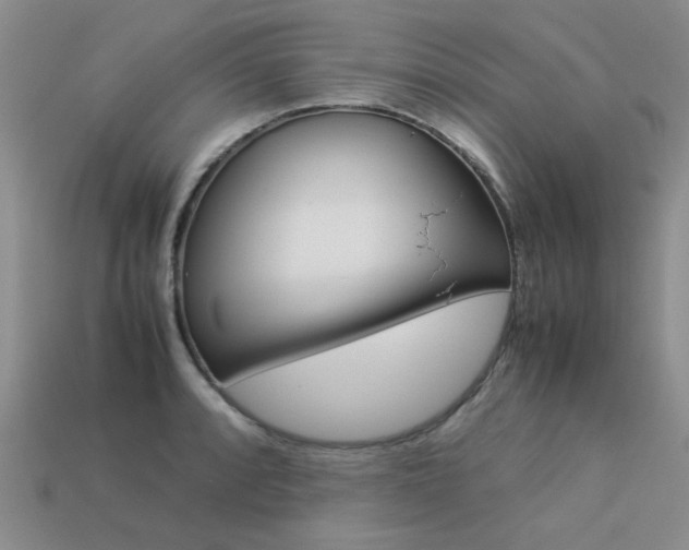 X0000113261088200909101245