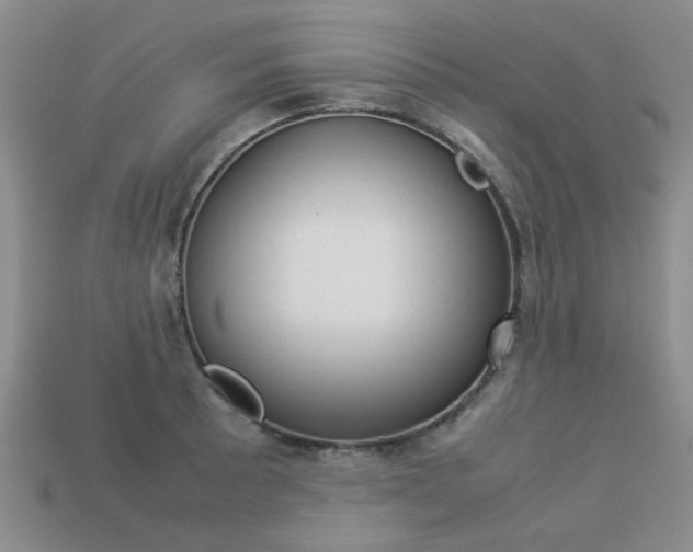 X0000113261089200909101245