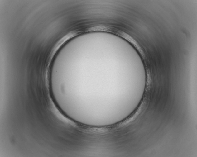 X0000113261090200909101245